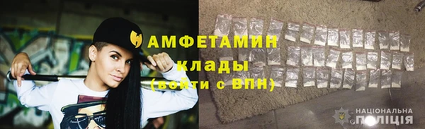трава Няндома