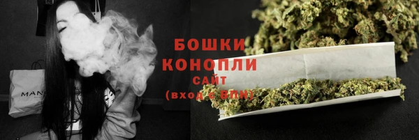 прущие грибы Нягань