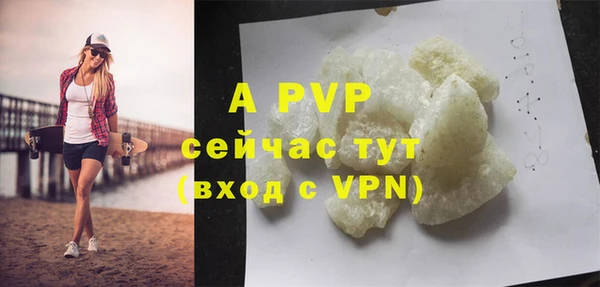 прущие грибы Нягань