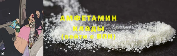 прущие грибы Нягань