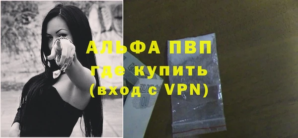 прущие грибы Нягань