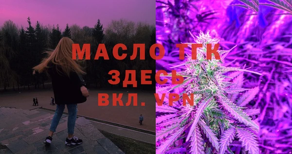 трава Няндома