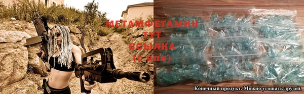трава Няндома
