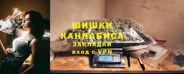 трава Няндома