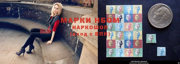 трава Няндома