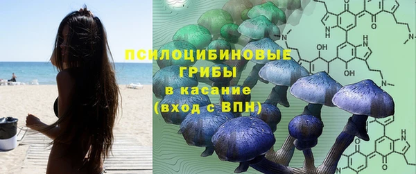 прущие грибы Нягань