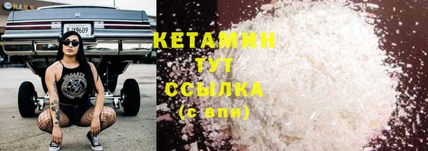 трава Няндома