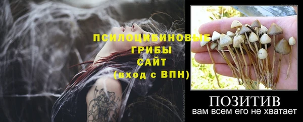 трава Няндома